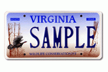 Assiette « Dinde sauvage »